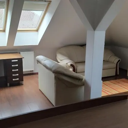 Belvarosi Toth Apartman * Baja